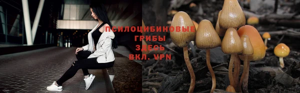 mix Абаза