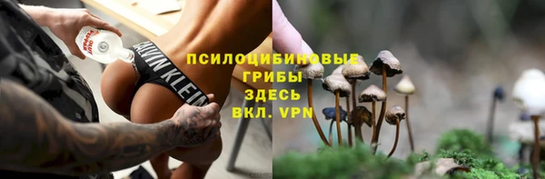 героин Алзамай