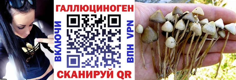 hydra ONION  Щёкино  Псилоцибиновые грибы прущие грибы 