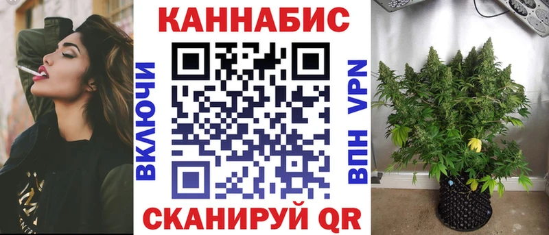 Каннабис OG Kush  Щёкино 